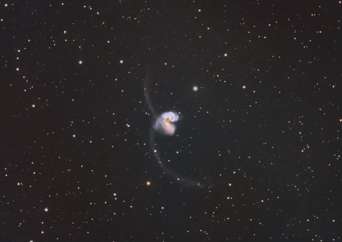 NGC 4038/4039 Galaxias de las Antenas